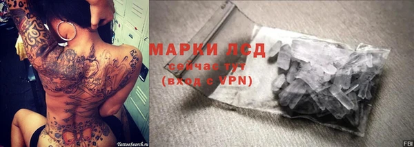 амф Вяземский